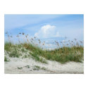Isle of Palms posters by captainifr Isle of Palms posters
