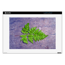 Isolated fresh fern leaf 15" laptop skin