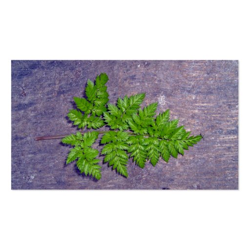 Isolated fresh fern leaf business card template (back side)