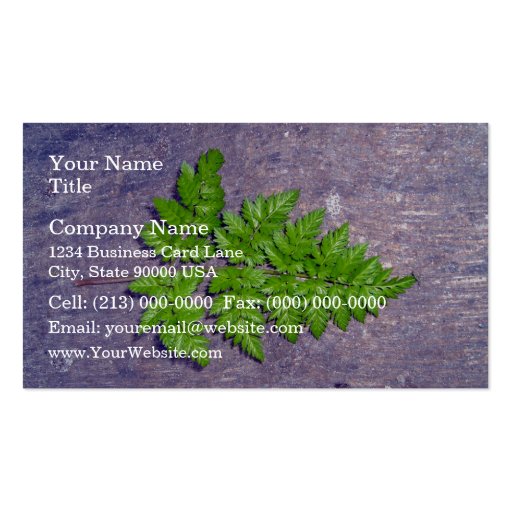 Isolated fresh fern leaf business card template