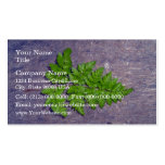 Isolated fresh fern leaf business card template