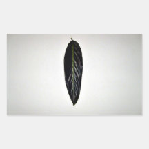 Isolated Green Leaf on white background Sticker