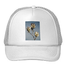 isolated togetherness mesh hats