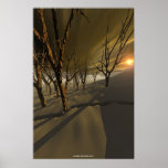 Isolation II Print