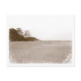 Isolation Is Bliss Postcard