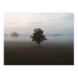 Isolation