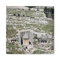 Israel 100 fridge magnet