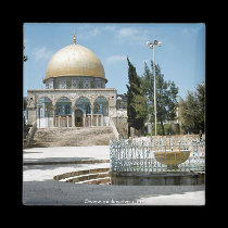 Israel 1 magnets by mickeyelvis128 Israel 1 magnets