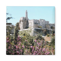 Israel 22 refrigerator magnets