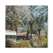 Israel 25 refrigerator magnet