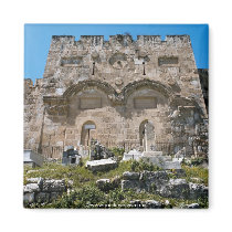 Israel 43 refrigerator magnets