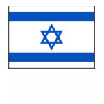 Israel Flag Map Spaghetti Top