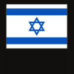 Israel Flag Map Spaghetti Top