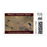 ISS009-E-5944, Pinacates Biosphere Reserve, Mex... postage
