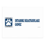 Istarski Kratkodlaki Gonic Blue Post Card