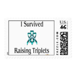 ISurvivedRaisingTripletsBoyBoyBoy Stamp
