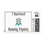 ISurvivedRaisingTripletsBoyGirlBoy Postage Stamps