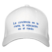 It brings back to consciousness is the goal, the e embroidered hats