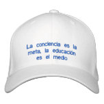 It brings back to consciousness is the goal, the e embroidered hats