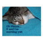It can't be morning POSTCARD postcards