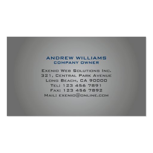 IT Consultant - Business Cards (back side)