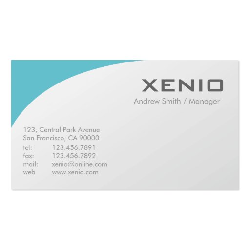 IT Consulting - Business Cards (back side)