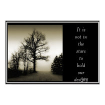 It Is Not In The Stars.... posters