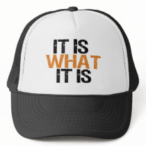 it is what it is by worldsfair it is what it is