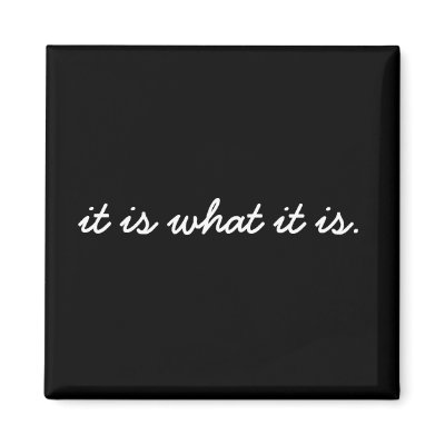 It is What it is Magnet by jduncan29