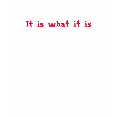 It is what it is tee shirts by latisha_louise