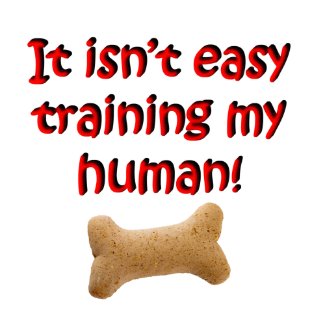 it_isnt_easy_training_my_human_dog_clothing_dog_shirt-d155870317732888303740el_325.jpg