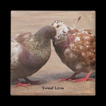 It must be love magnets