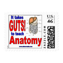 It Takes GUTS to Study Anatomy Stamp