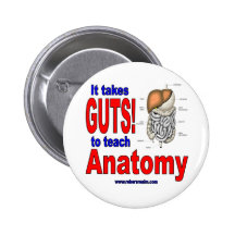 It takes GUTS to teach anatomy Pinback Buttons
