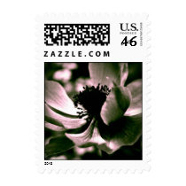 It was a beautiful day... postage