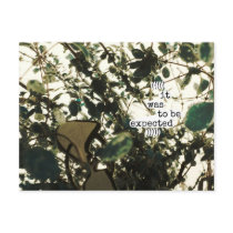 (((((it was to be expected)))) post cards