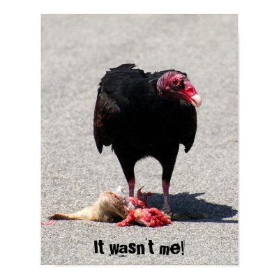 It Wasn't Me! print