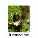 It wasn't me t-shirts by Rainmountain It wasn't me t-shirts