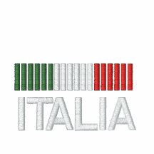 Italia Italy Embroidered zip Hoodie