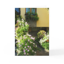 Italian Balcony with flowers cards by foreverspring Italian Balcony with flowers cards