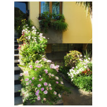 Italian Balcony with flowers t-shirts by foreverspring Italian Balcony with flowers t-shirts