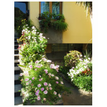 Italian Balcony with flowers t-shirts by foreverspring Italian Balcony with flowers t-shirts