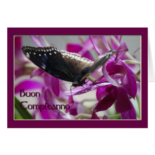 Italian Birthday Card Zazzle