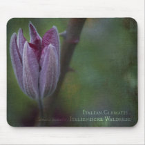 Italian Clematis Mousepad by SabineSt Italian Clematis Mousepad