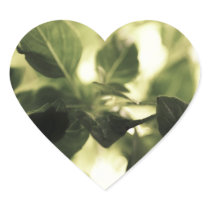 Italian Cooks! Sweet Basil, Recipe Cards, Labels Sticker