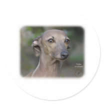 Italian Greyhound 9K74D-19 stickers
