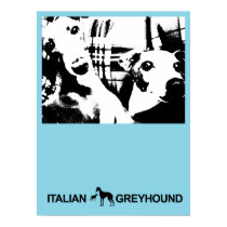 Italian Greyhound Blue posters by 7thEngine Italian Greyhound Blue posters
