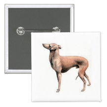 Italian Greyhound Button