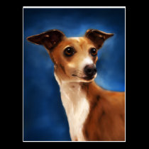 Italian Greyhound Dog Art - Magnifico postcards