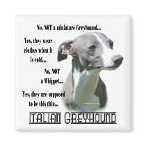 Italian Greyhound FAQ Magnet